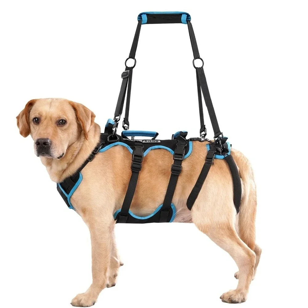 LAFOTY Dog Lift Harness Model 380 XL Black Blue 2-in-1 Support Sling